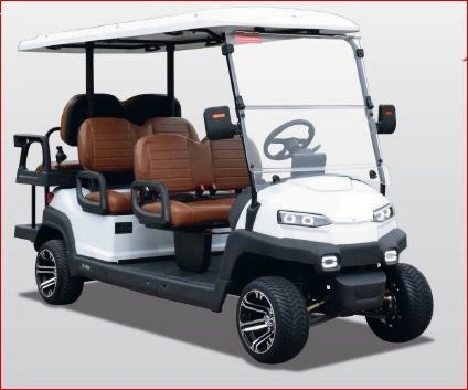 6-seater VIP electric buggy — GWheel
