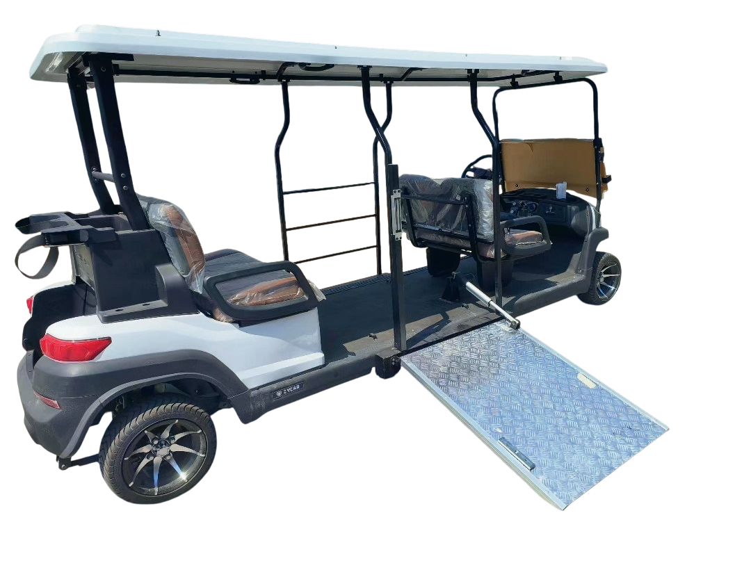 Wheelchair-accessible electric buggy — GWheel Malaysia