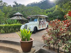 WhatsApp Image 2025-12-22 at 12.12.30 (5)