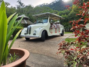 WhatsApp Image 2025-12-22 at 12.12.30 (8)